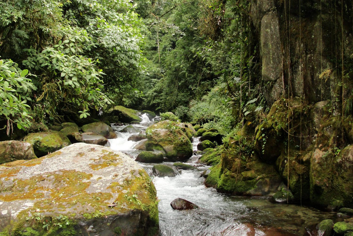 Mount Chirripó | Costa Rica