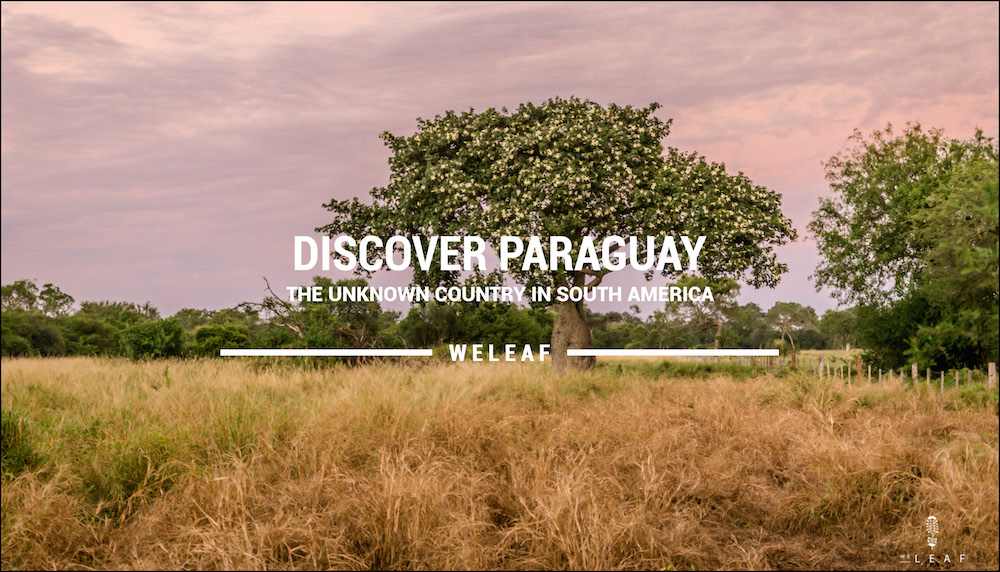 Discover Paraguay video