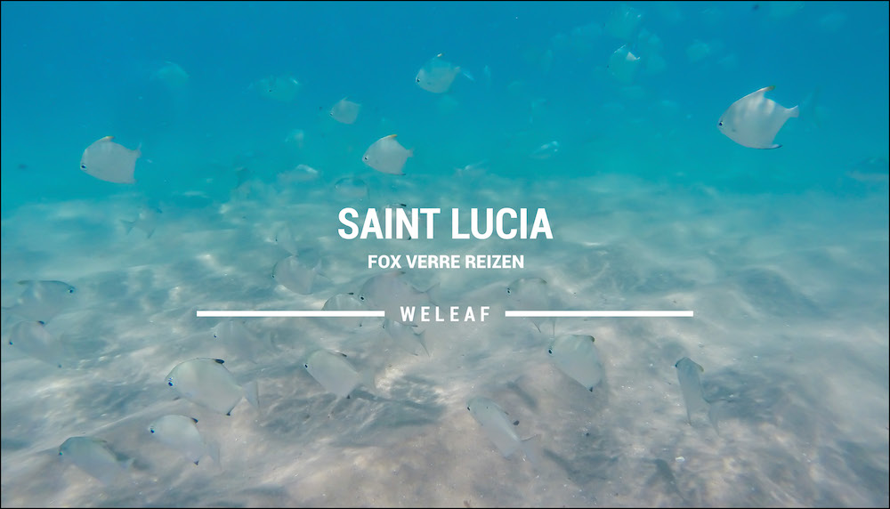 Saint Lucia Zuid Afrika video