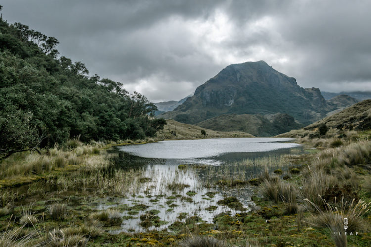 Hiking in Cajas National Park