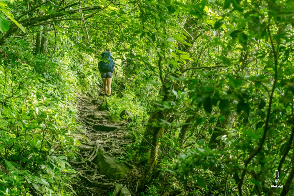 Trail angels