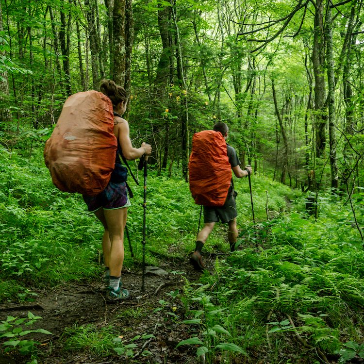 The Alternative Appalachian Trail