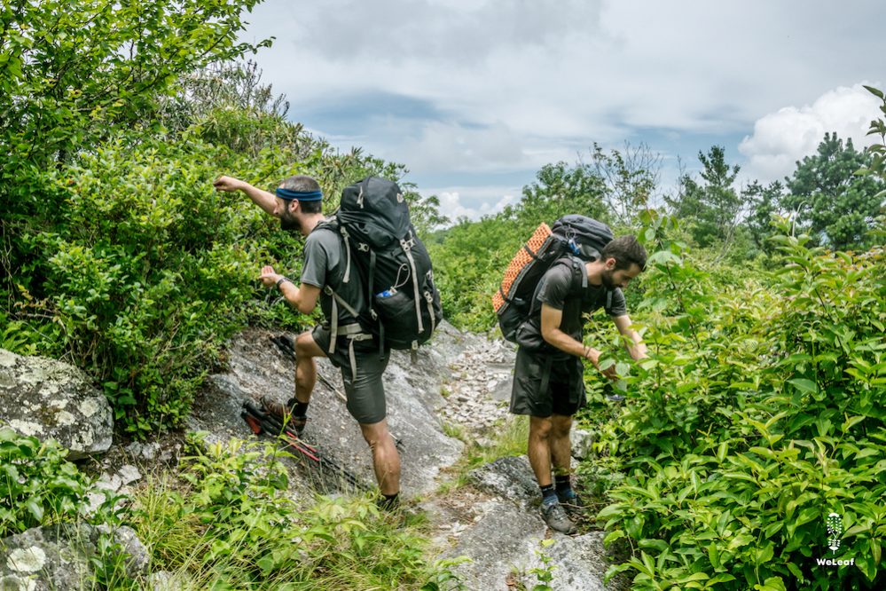 7 tips for eating healthy on the trail