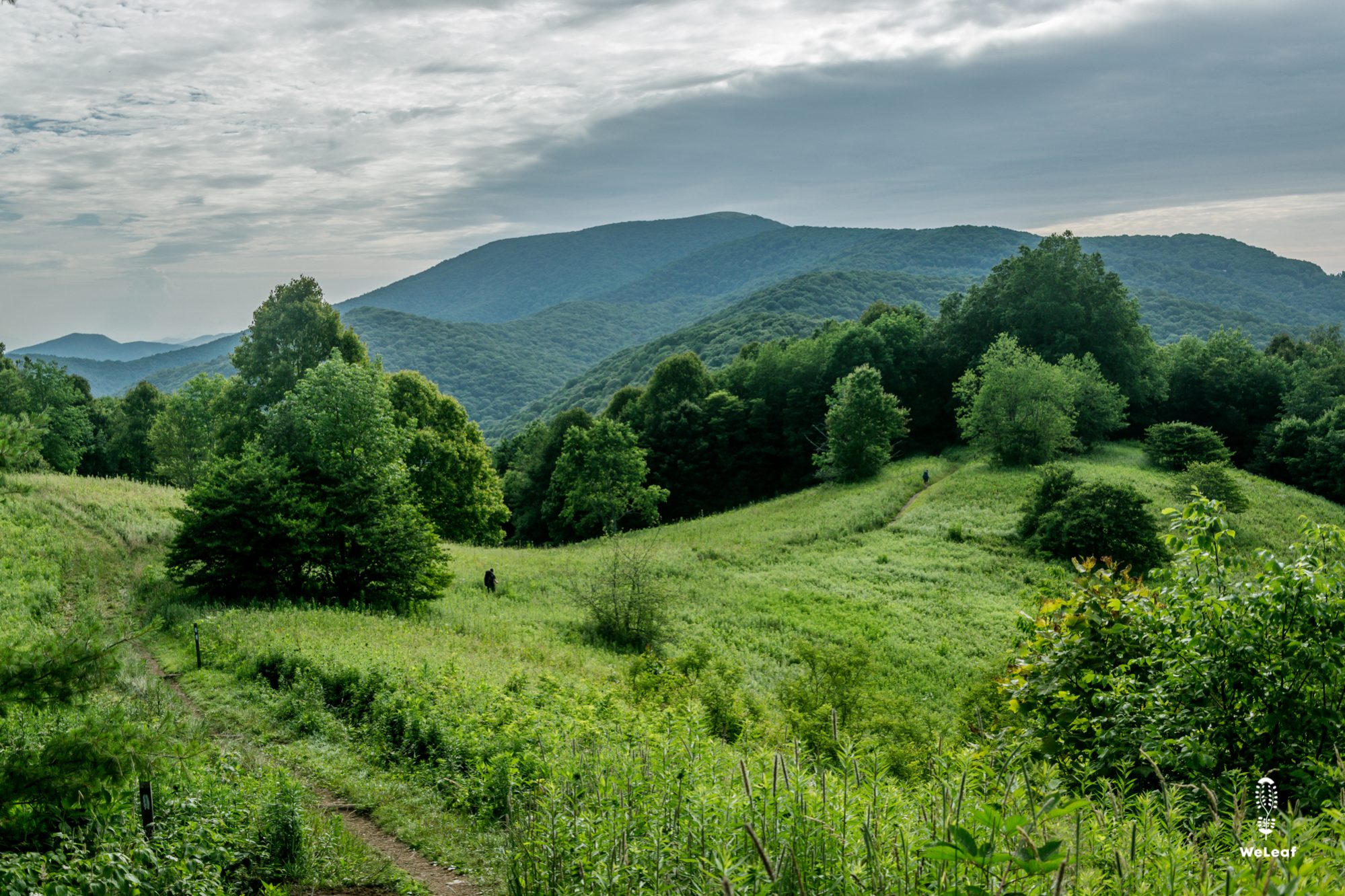 De Appalachian Trail lopen