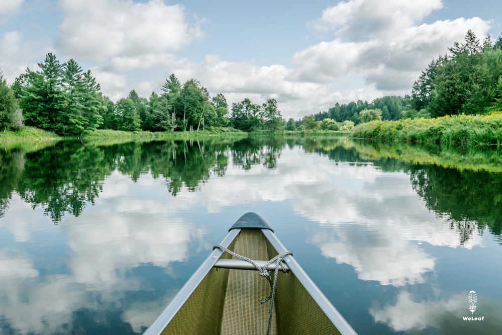 Packing list for a canoe trip