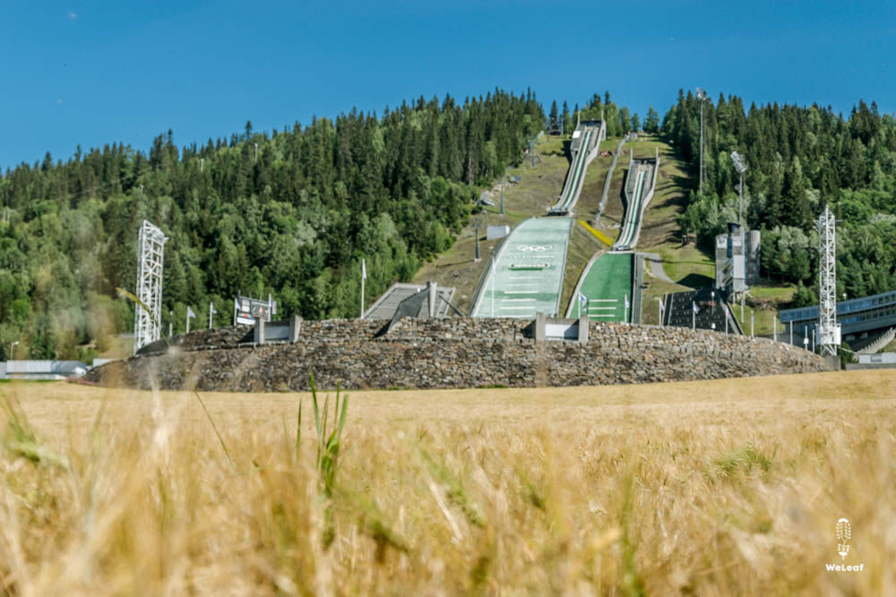 Lillehammer olympic jumps