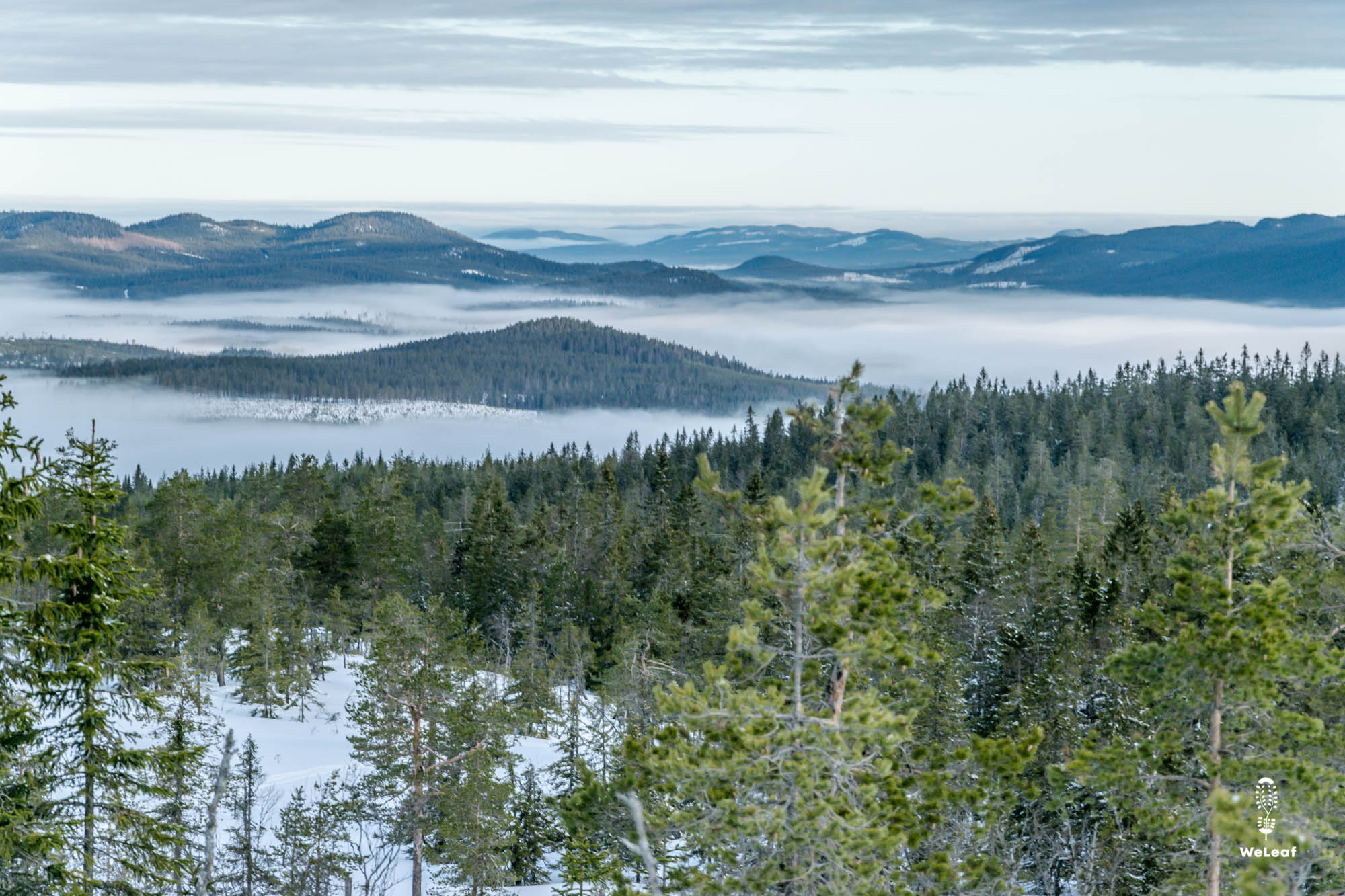 Swedish mountains in winter