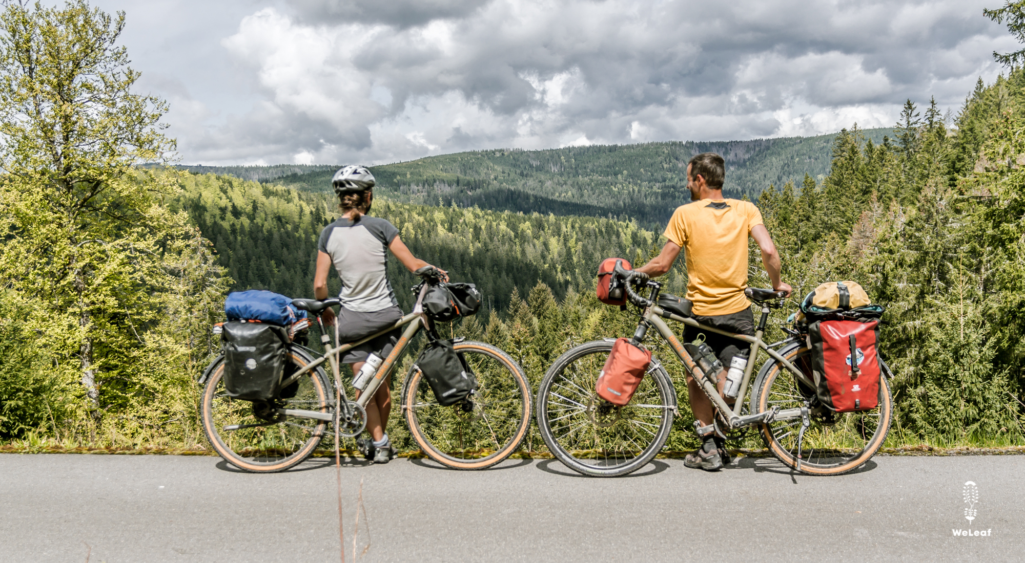 Cycling in the black forest