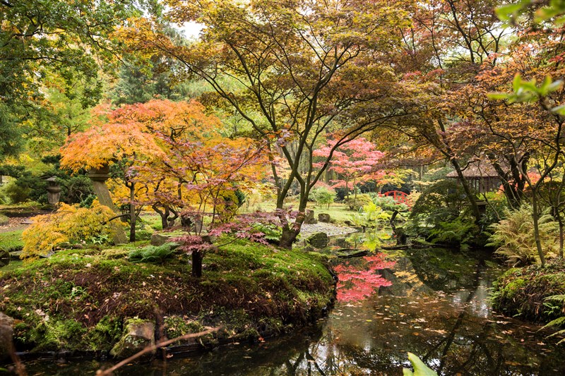 japanse tuin in Den Haag