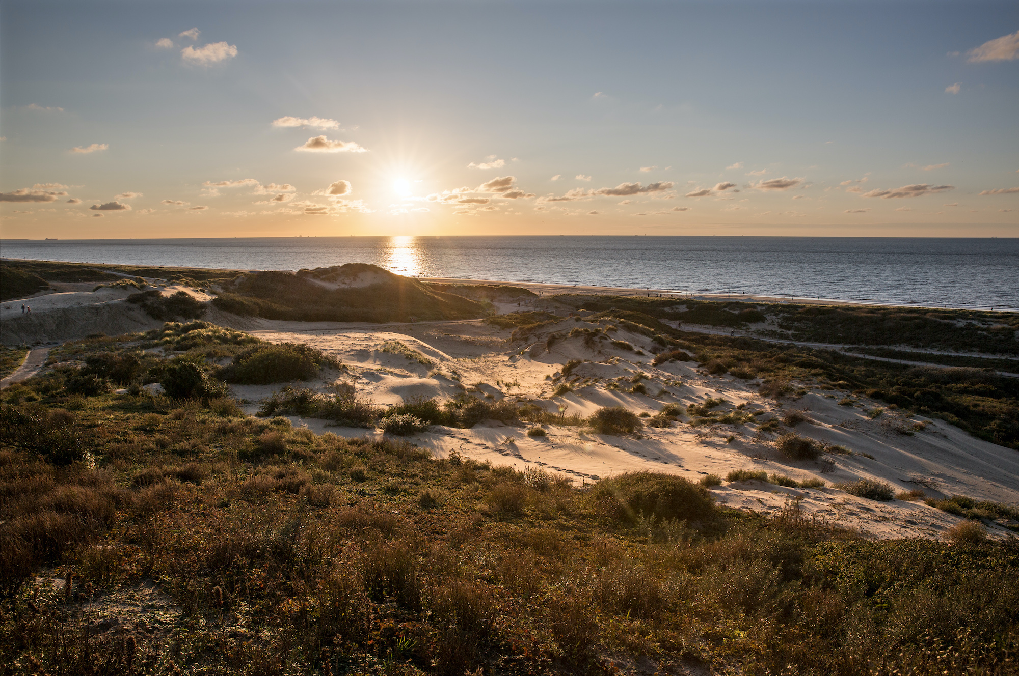 Duinlandschap in het Westduinpark langs de kust bij Kijkduin