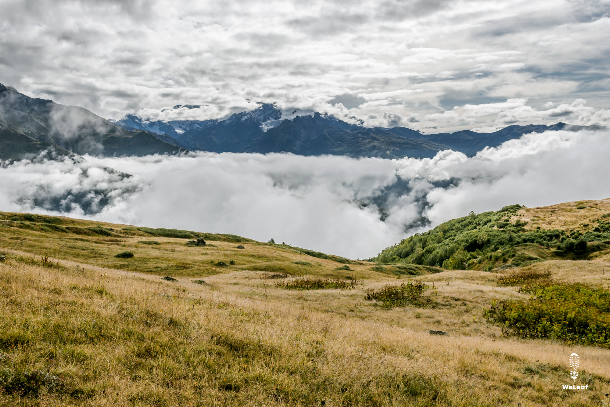 Mountains around Mestia